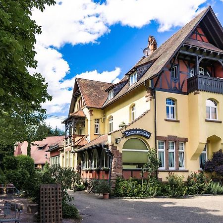 Hotel Dammenmuehle ラール エクステリア 写真
