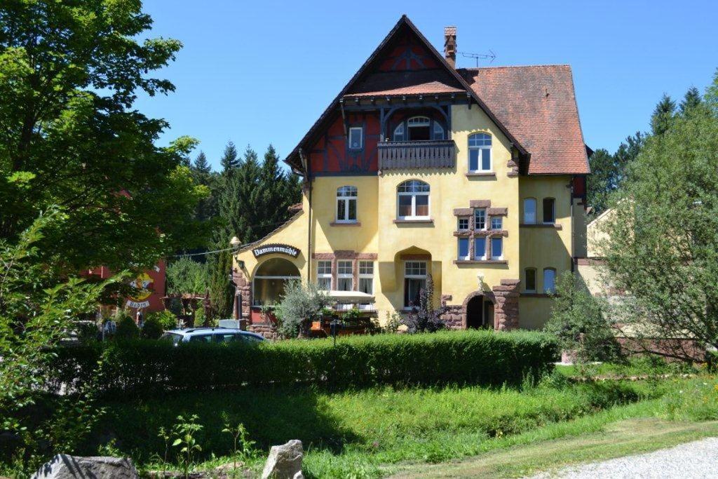 Hotel Dammenmuehle ラール エクステリア 写真